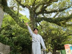 -江心屿景区