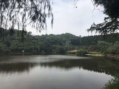 -火炉山森林公园