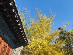 -金州副都统衙门博物馆