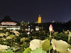 -西海子公园