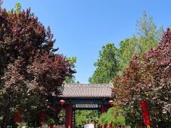 -大槐树寻根祭祖园
