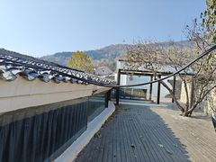 -鲁菜根·泰山菜(泰山店)