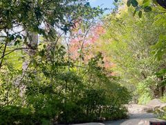 -昆明柏联SPA温泉