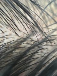 -Bollins波林丝•专研护发中心