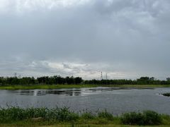 -上海滨江森林公园