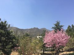 -北京鹫峰国家森林公园