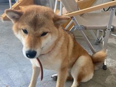 -隹木咖啡馆(宝龙广场店)