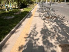 -大兴滨河森林公园