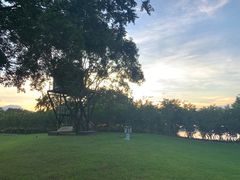 -福建鲤鱼洲酒店