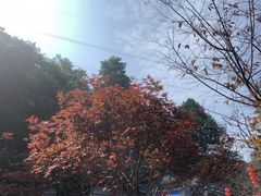 -广州市帽峰山景区