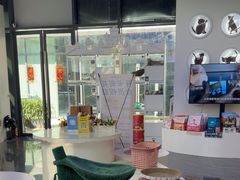 -小猫来了·猫咪专售(红山六九七九店)