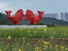 -光明小镇欢乐田园