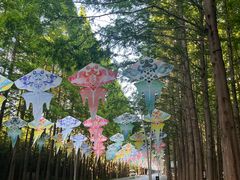 -日照海滨国家森林公园
