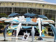 -海合安成都极地海洋公园