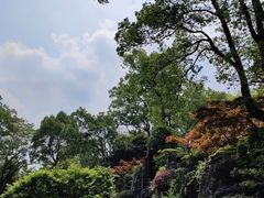 -南山植物园