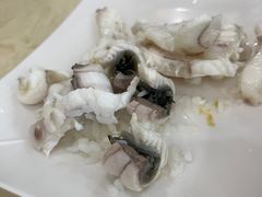 -源港渔村-中山脆肉鲩(博罗店)