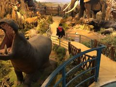 -陕西自然博物馆