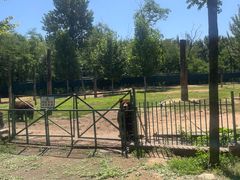 -秦皇岛野生动物园