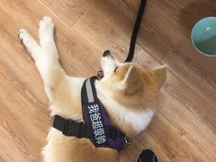 -YCHL Studios健身工作室(市二宫店)