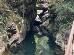 -大奇山国家森林公园