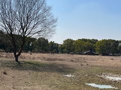 -良渚古城遗址公园
