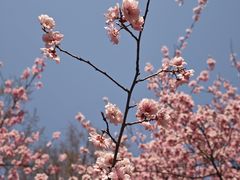 -白塘生态植物园