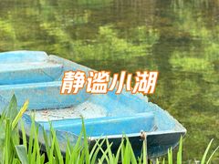 -四海公园(南山区)