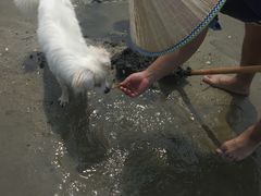 -北海金海湾红树林生态旅游区