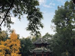 -房湖公园