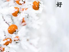 -自然之声助听器·呼吸机(公园路店)