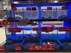 -小龍鳳·港式海鲜打边炉(沙湖路店)