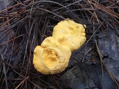 -溪口-滕头旅游景区