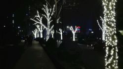 -维纳斯专业减肥