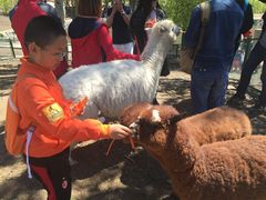 -新疆天山野生动物园
