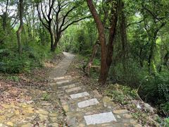 -平湖九龙山旅游度假区