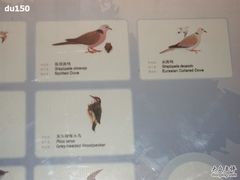 -北京麋鹿生态实验中心