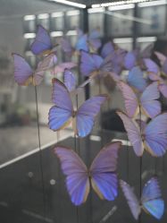 -酷嗒动物文化乐园(cutezoo西溪乐天城店)