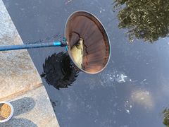 -酷鱼垂钓CLUB(朝阳区博大路店 )