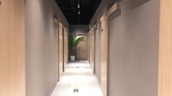 -三只熊皮肤管理中心