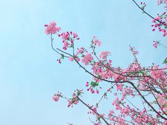 -秦皇岛路游船码头