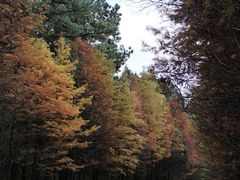 -南京市无想山景区