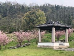 -敬亭山风景名胜区