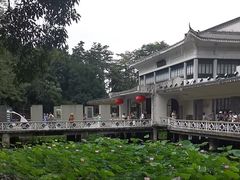 -荔湾湖公园