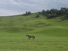 -新疆那拉提国家旅游度假区