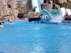 -七彩云南欢乐世界