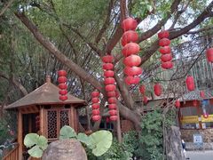 -观澜山水田园