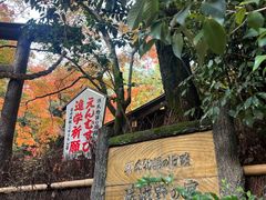 -野宫神社