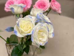 -猫的天空之城概念书店(杭州南宋御街店)