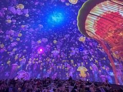 -海合安青岛极地海洋公园