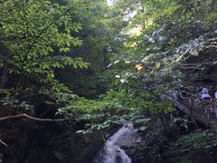 -藏龙百瀑风景区